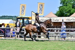 SBM_18134