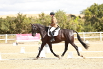 SBM_004227