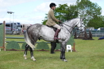 SBM_14838