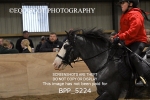 BPP_5224