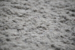 WJ5_6808