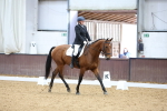 SBM_003305