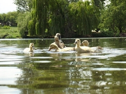 Photography portfolio