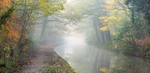 meeting-in-the-mist
