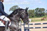 BPP_2268