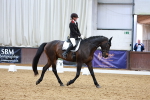 SBM_003731