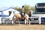 SBM_08585