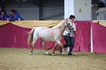 SBM_20957