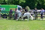 SBM_06083