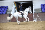 SBM_010017