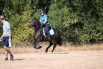 WJ6_8492