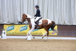SBM_001527