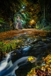 z4128 Shanklin Chine Stream at Night