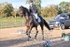 BPP_9779