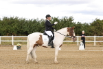 SBM_006335