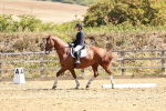 SBM_001650