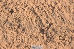 260426-082235-17404