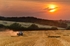 z2255 Evening Harvest, Arreton