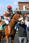 100426-Race 1-Where Love Lives-2719