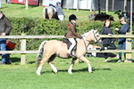 SBM_50334