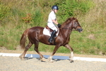 3E7A3668