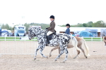 SBM_17168
