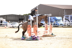 SBM_002032