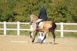 SBM_001437
