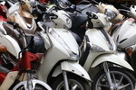 VIET_1246