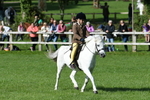 SBM_50307