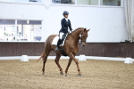 SBM_004151