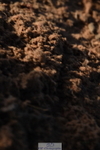231015A-090034-06593