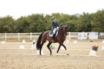 SBM_006882