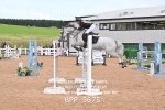 BPP_3675