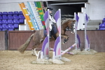 SBM_000591