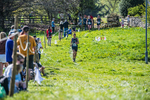 The Finish-902