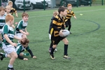 Kendal Rugby Under 7's portfolio