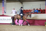 class Q - Ridden Horse Champ portfolio