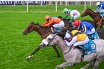 200825-Race 7-Rubys Angel-2068