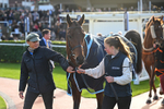 251025-Race 4-Ma Shantou-8891