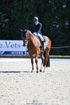 C-231-Alannah.Dunstan-JUMPING.STAR.J.W.B portfolio