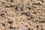 240509A-091631-00508