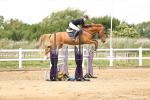 SBM_003254