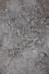 SBM_005720