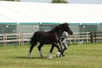 SBM_02301