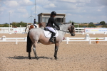 SBM_04011