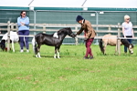 SBM_03642