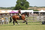 SBM_06933