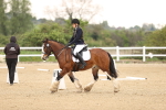 SBM_006476