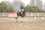 SBM_004778